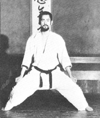 Kiba – Dachi