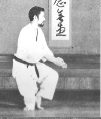 Neko-Ashi – Dachi